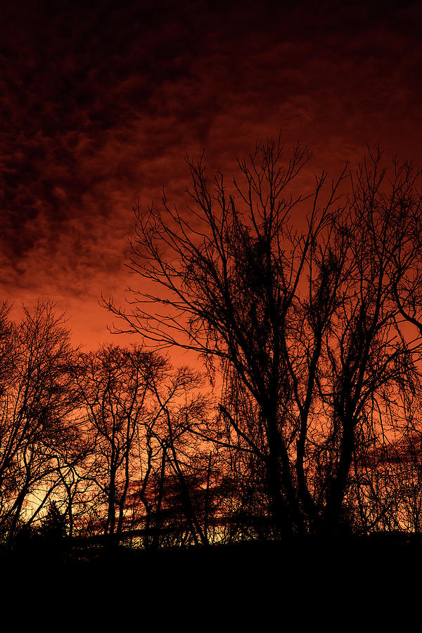 Red Sky In Morning Photograph by Denise Harty - Fine Art America