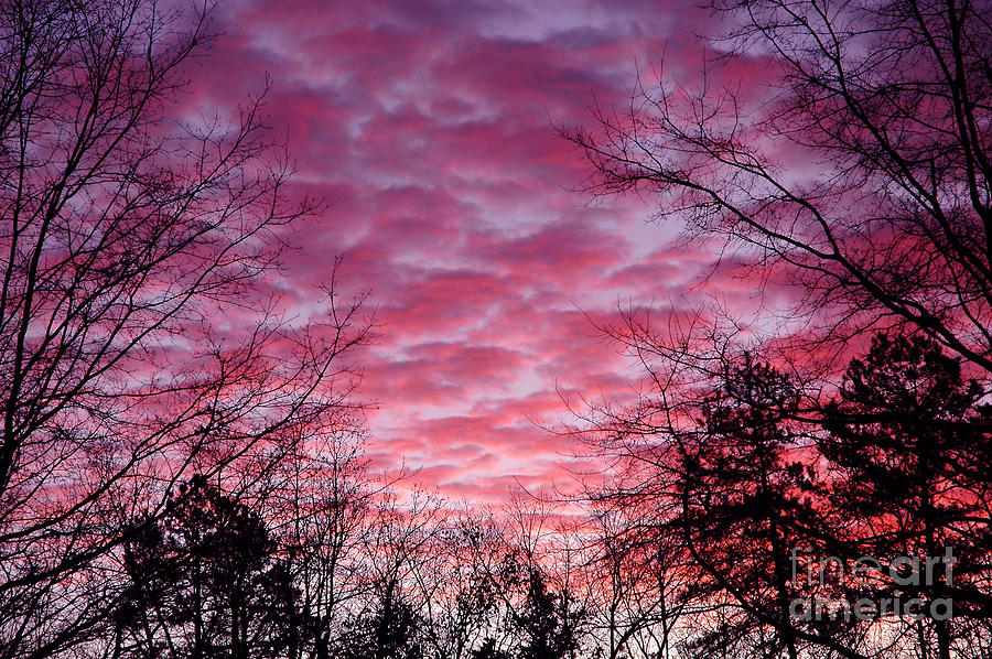 Red Sky in the Morning Photograph by Rodger Painter