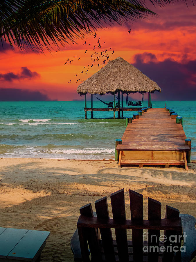 Red Sky Sailors Delight Photograph by David Zanzinger Red Sky Sailors Delight Photograph by David Zanzinger