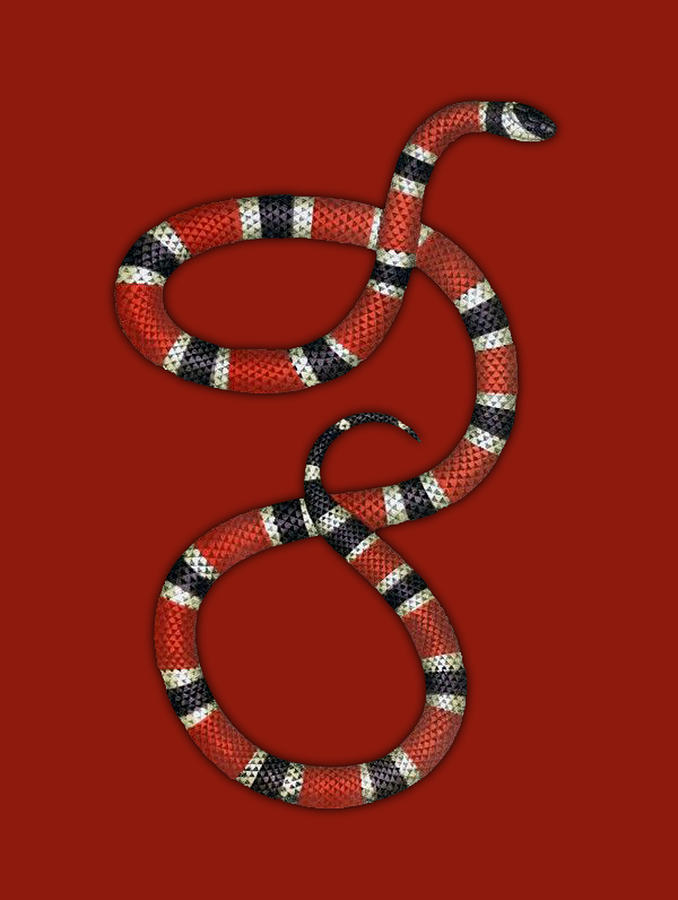 Red Snake Painting by Tony Rubino