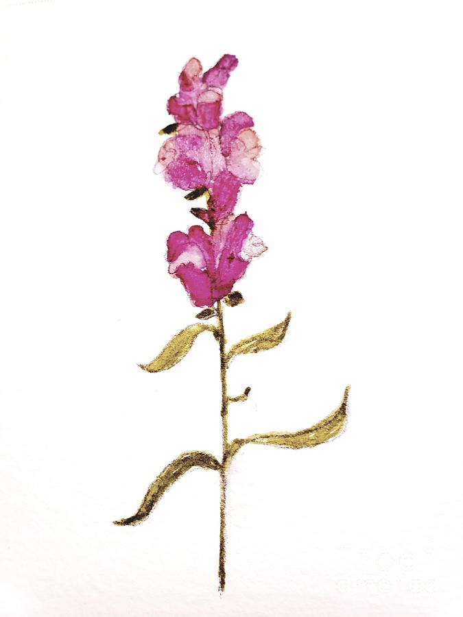 Red Snapdragon  Painting by Margaret Welsh Willowsilk