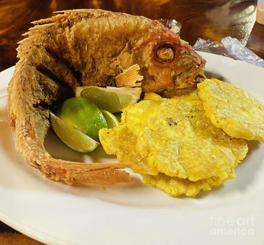 Red Snapper and Tostones Photograph by Alice Terrill