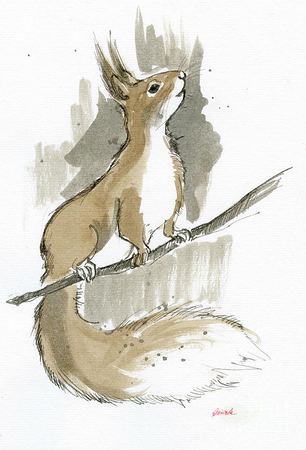 Red squirrel Drawing by Ang El