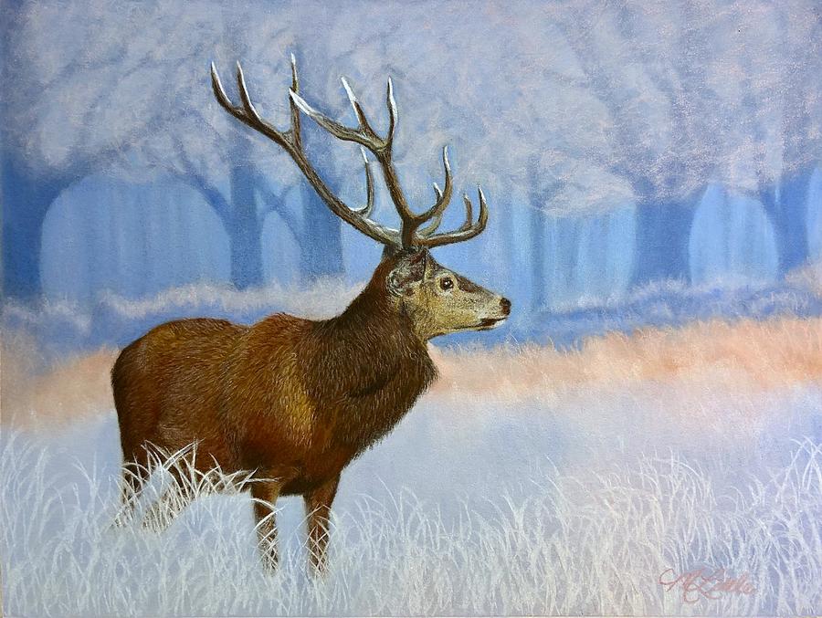Red Stag 2 Pastel by Marlene Little