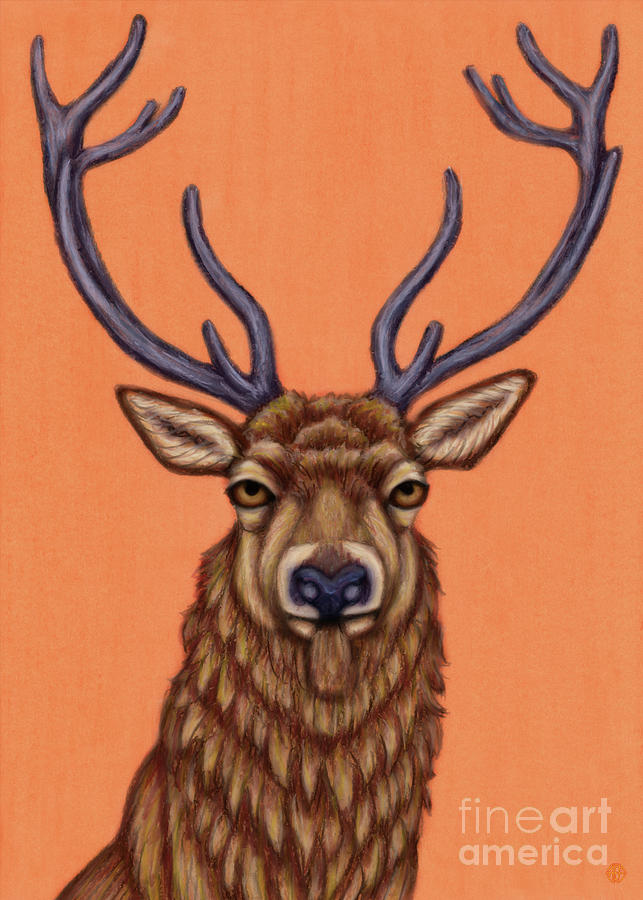 Red Stag Painting by Amy E Fraser