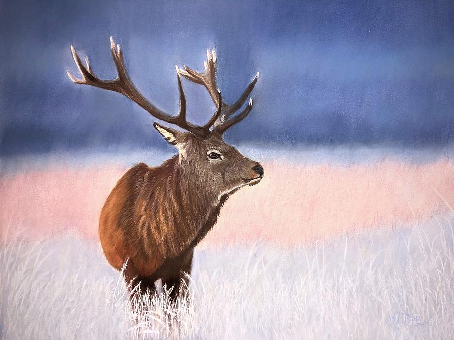 Red Stag Pastel by Marlene Little