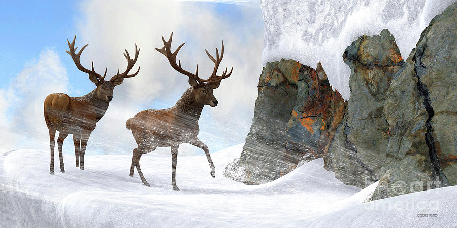 Red Stag Mountain Pass Digital Art by Corey Ford