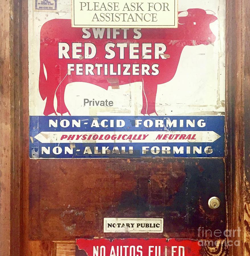 Red Steer Photograph by Flavia Westerwelle