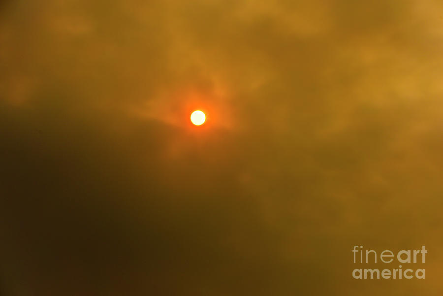 Red Sun Photograph by Jon Burch Photography