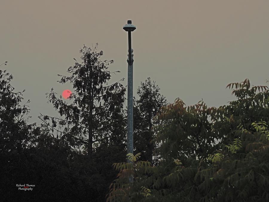 Red Sun Over Park Photograph by Richard Thomas