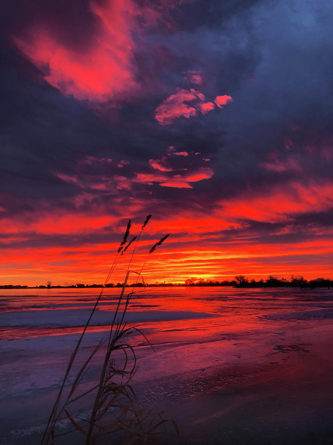 Red Sunrise Photograph by Shane Bechler