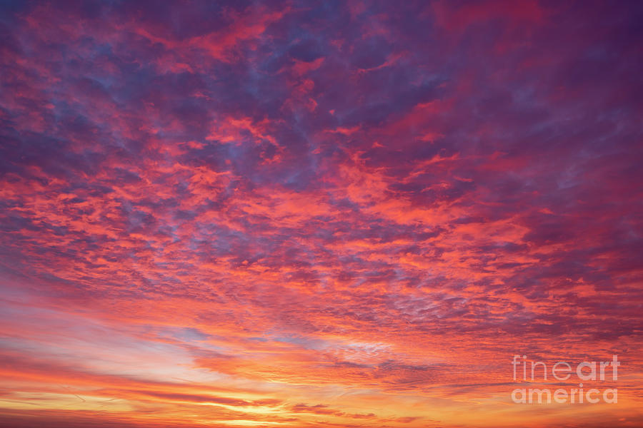 Red Sunrise Winter Sky Photograph by Tim Gainey