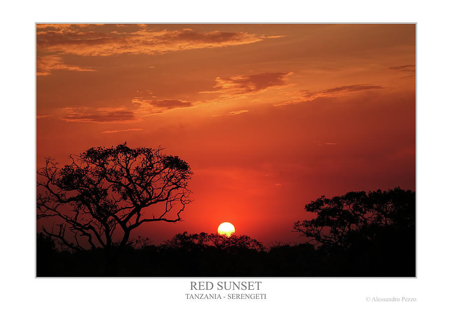 Red Sunset Photograph by Alessandro Pezzo