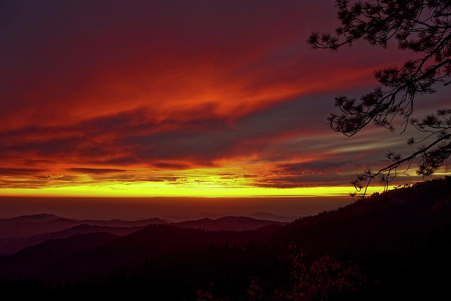 Red Sunset Kings Canyon National Park Photograph by Brett Harvey