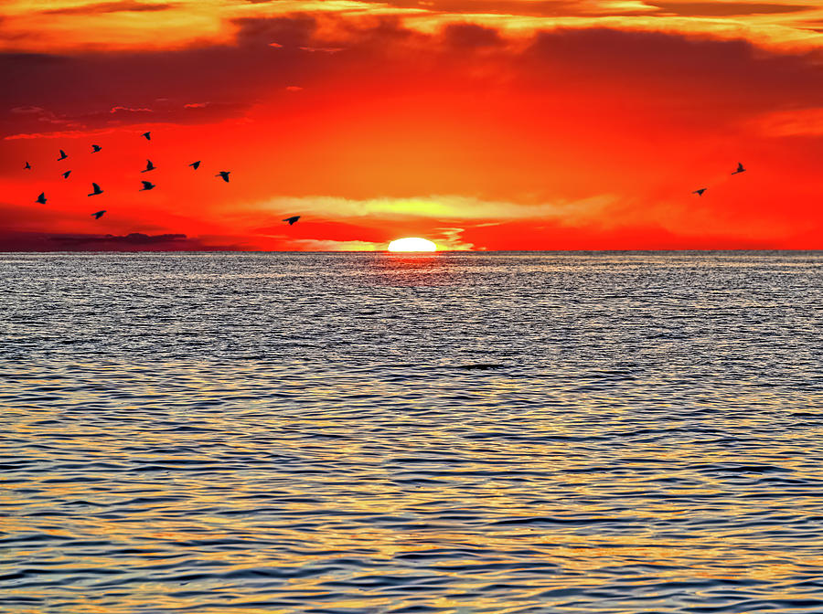 Fiery red sunset Photograph by Loredana Gallo Migliorini