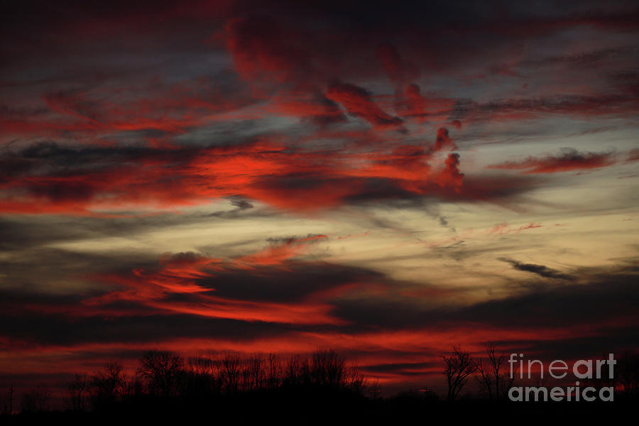 Red Sunset Photograph by Paula Guttilla