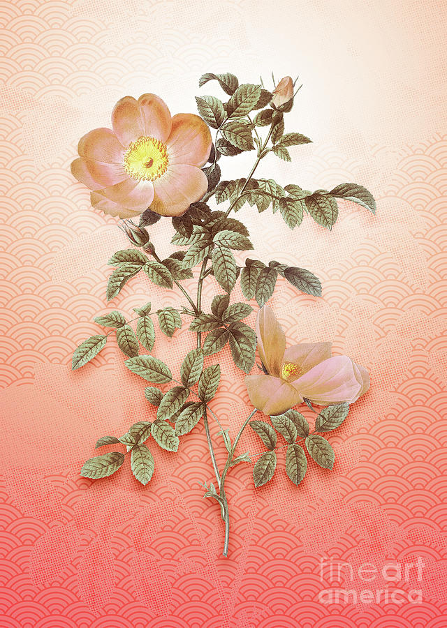 Red Sweetbriar Rose Vintage Botanical In Peach Fuzz Seigaiha Wave Pattern N.1321 Painting
