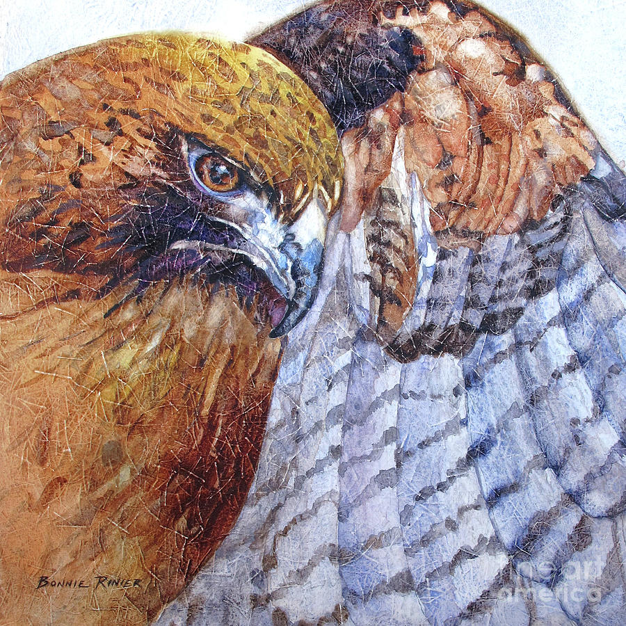 Red Tail Hawk Painting by Bonnie Rinier