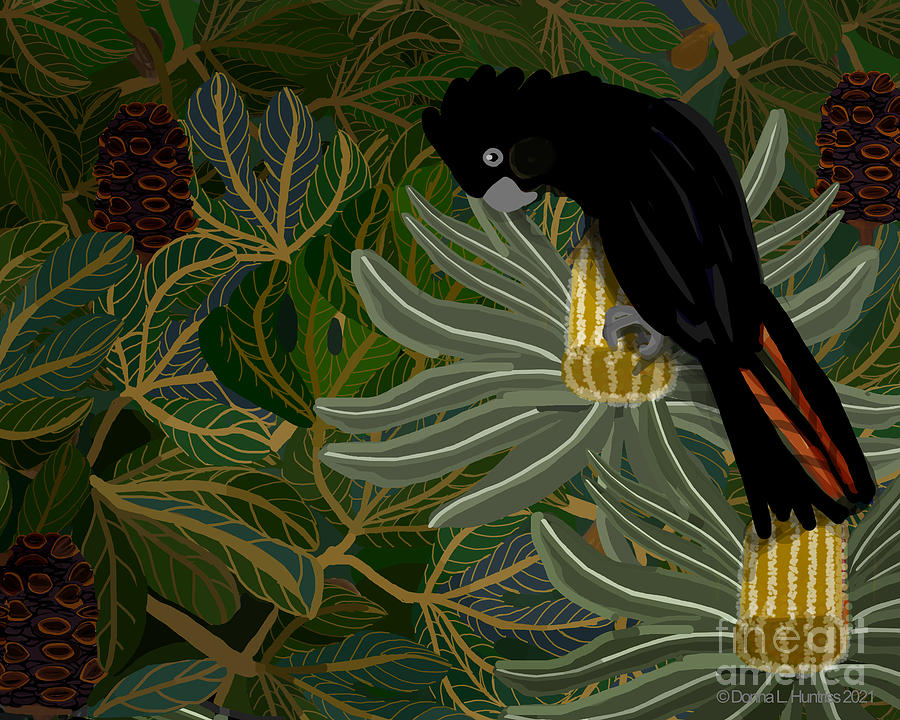 Red Tailed Black Cockatoo and Banksia Seed Pods Digital Art by Donna Huntriss