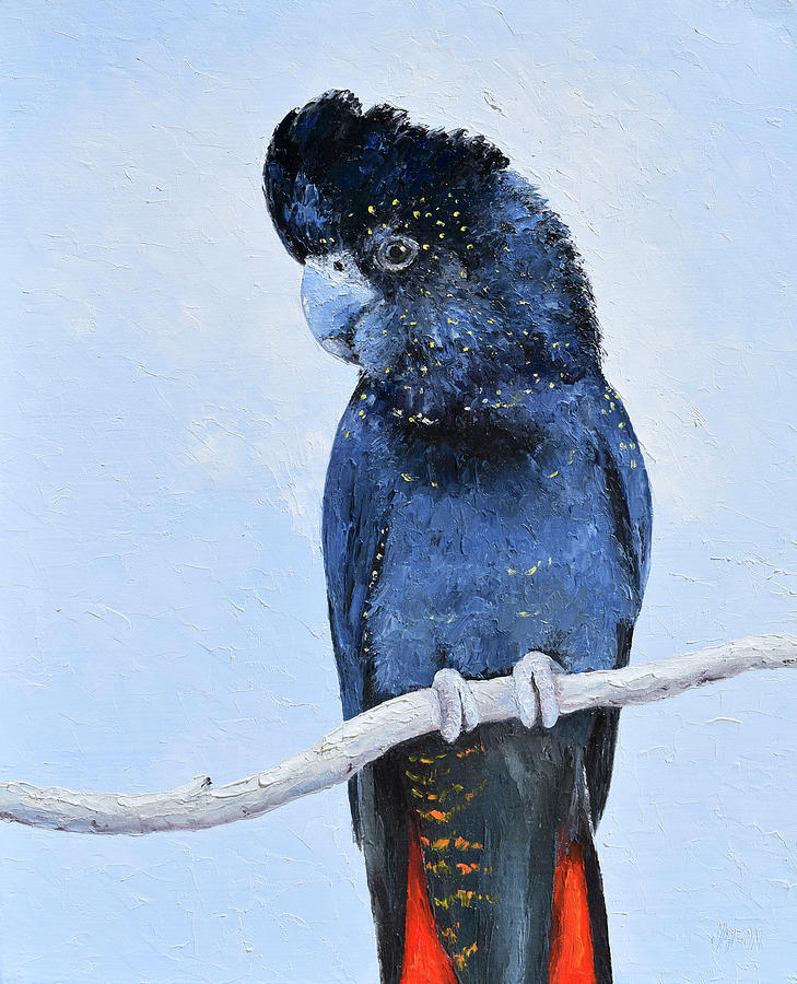 Red Tailed Black Cockatoo, native bird Painting by Jan Matson
