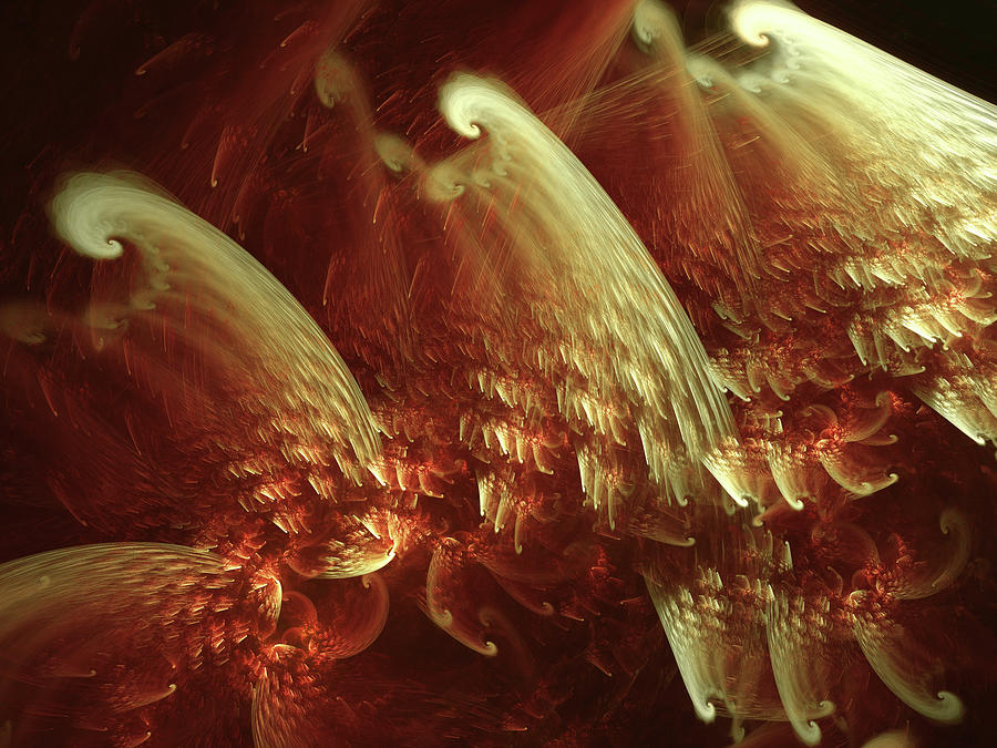 Red Tailed Hhawk Digital Art by Jo Voss