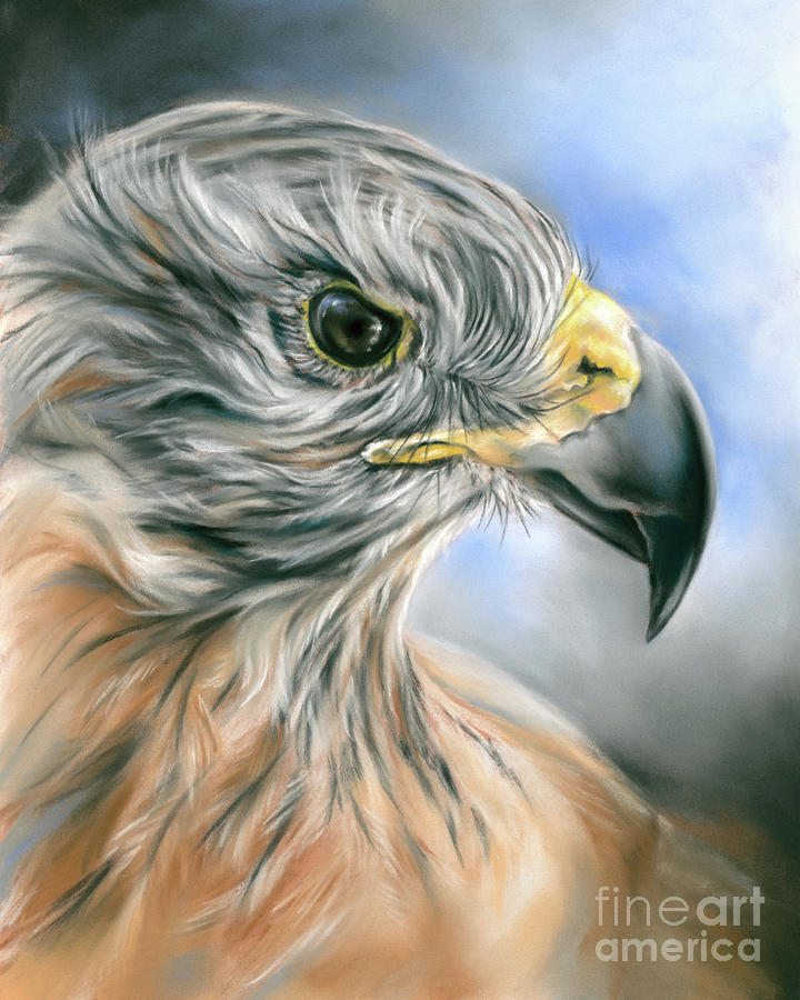 Red Tailed Hawk Painting by MM Anderson