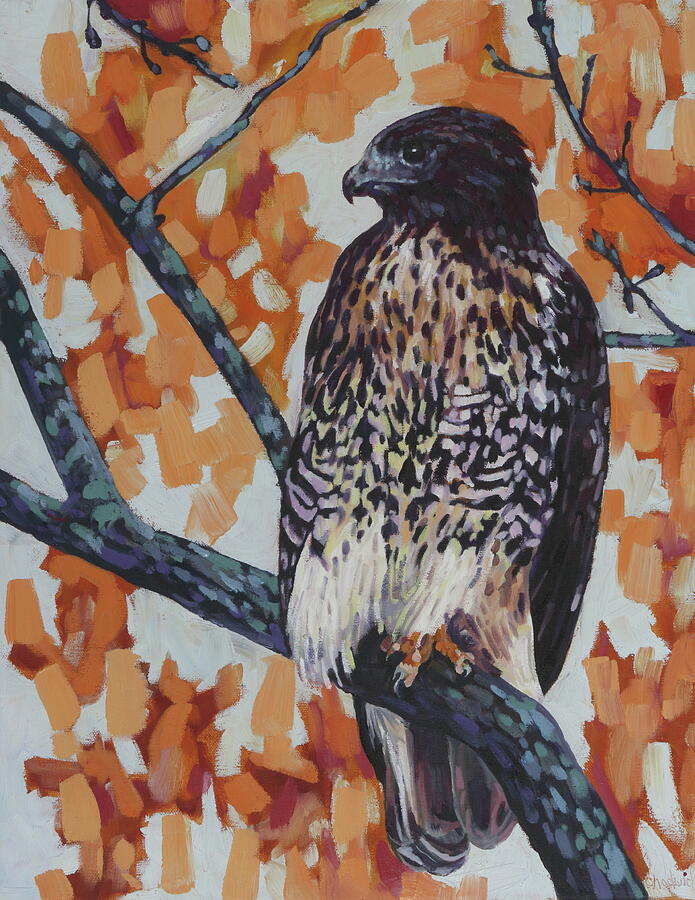 Red-tailed Hawk Painting by Phil Chadwick