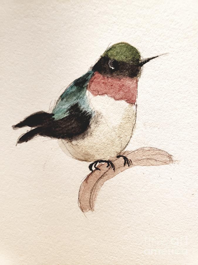 Red-throated Hummingbird Painting by Margaret Welsh Willowsilk