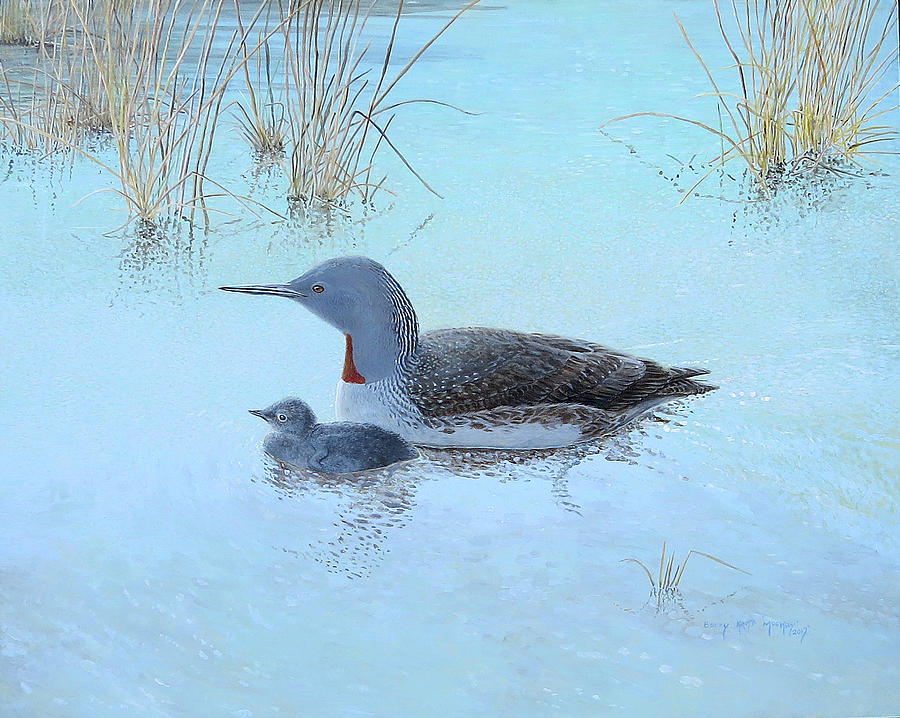 Red-throated Loon Painting by Barry Kent MacKay