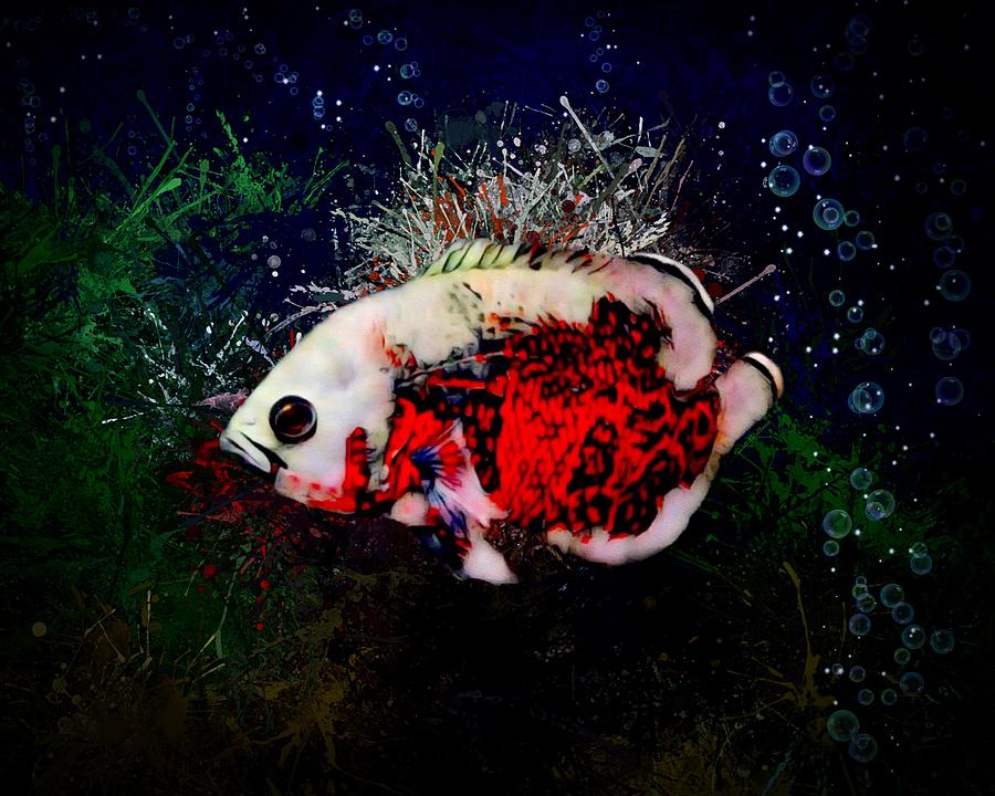 Fish Digital Art - Red Tiger Oscar by Scott Wallace Digital Designs