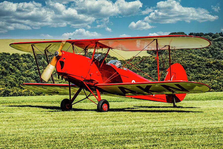 Red Tigermoth Photograph by Chris Smith