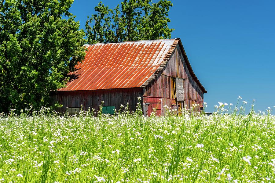 Red Tin Roof and Blue Sky Photograph by Jerry Sodorff