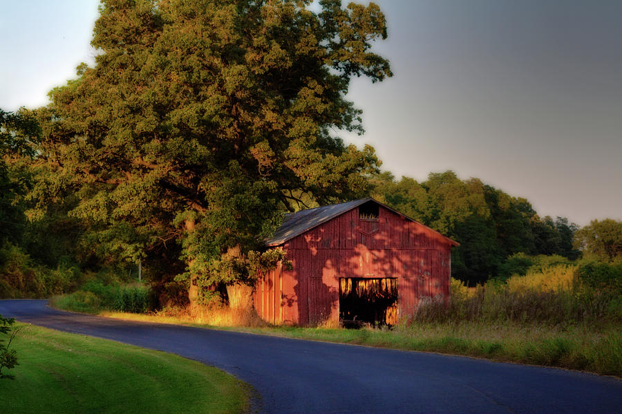 Red Tobacco Shed with tobacco drying inside lit by setting sun - Stebbinsville Road Photograph by Peter Herman