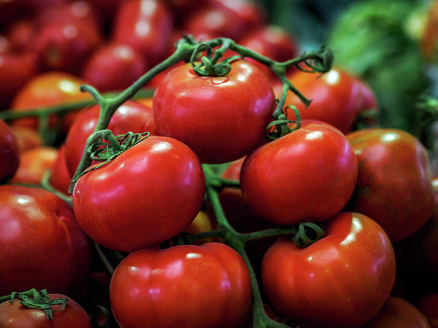 Red Tomatoes Photograph by Luis Vasconcelos
