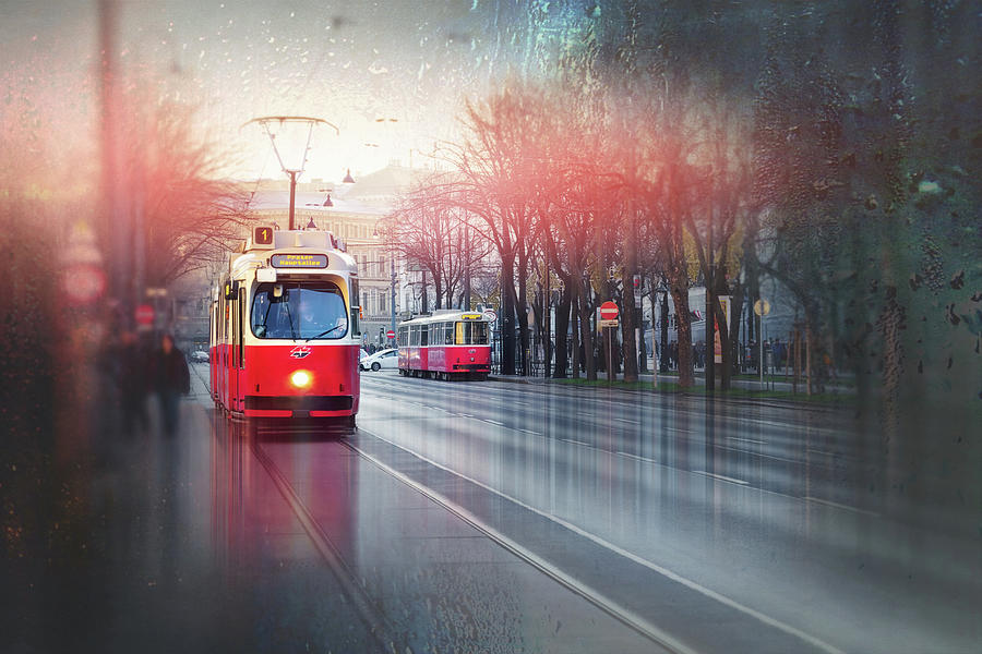 Red Trams of Vienna Austria  Photograph by Carol Japp