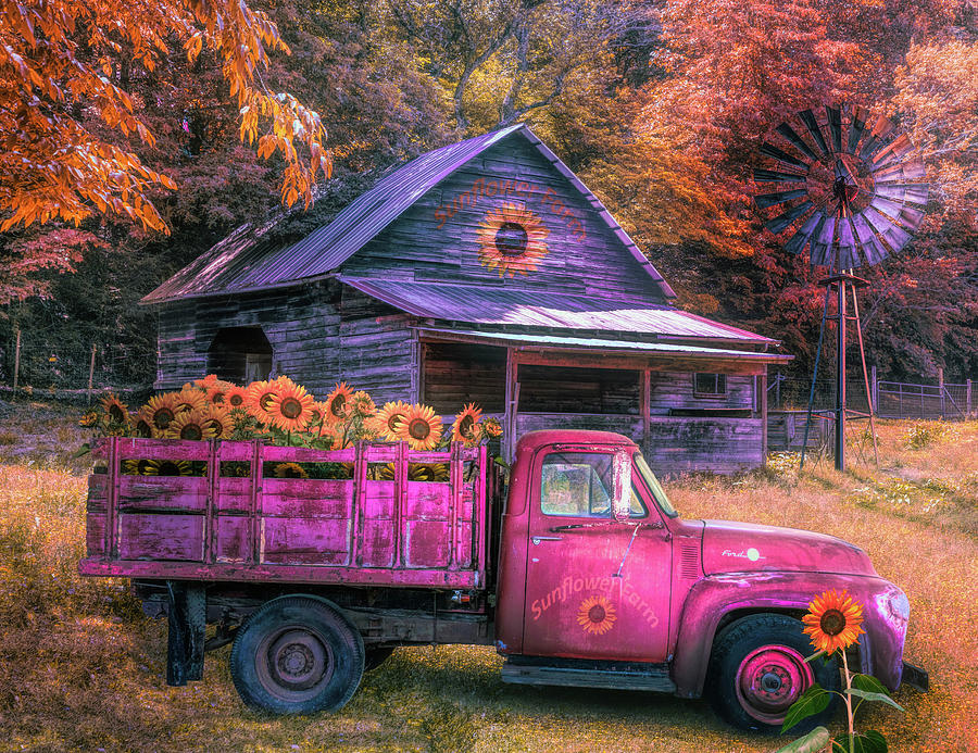 Red Truck at the Autumn Sunflower Farm Photograph by Debra and Dave Vanderlaan