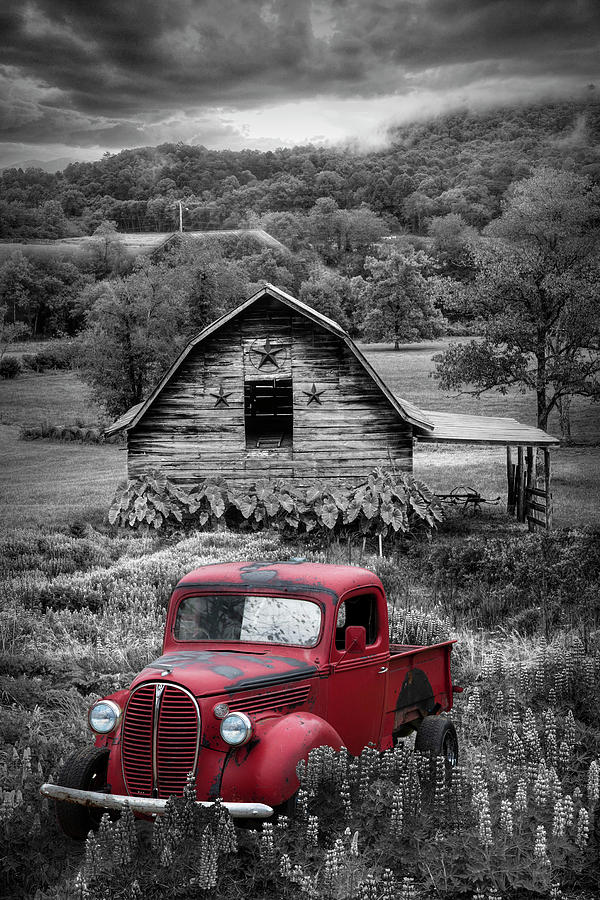 Red Truck in Early Autumn Fields Black and White Photograph by Debra and Dave Vanderlaan