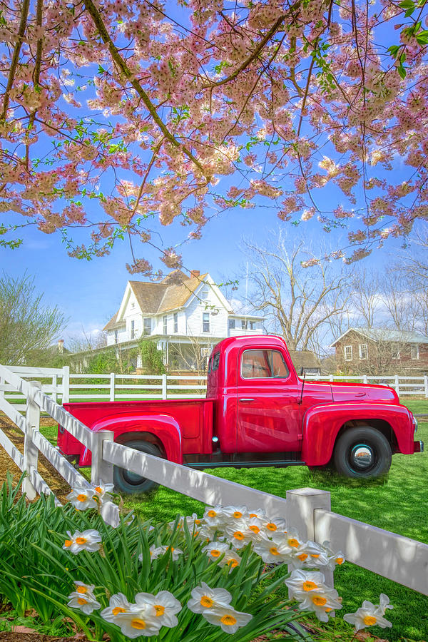 Red Truck in Spring Photograph by Debra and Dave Vanderlaan - Fine Art ...