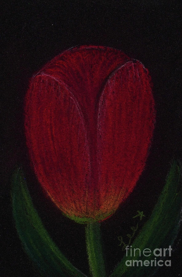 Red Tulip Painting by Dorothy Lee