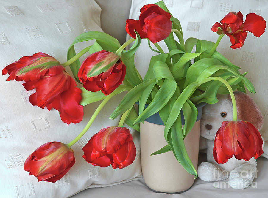 Red Tulips And Teddy Bear Photograph by Tatiana Bogracheva