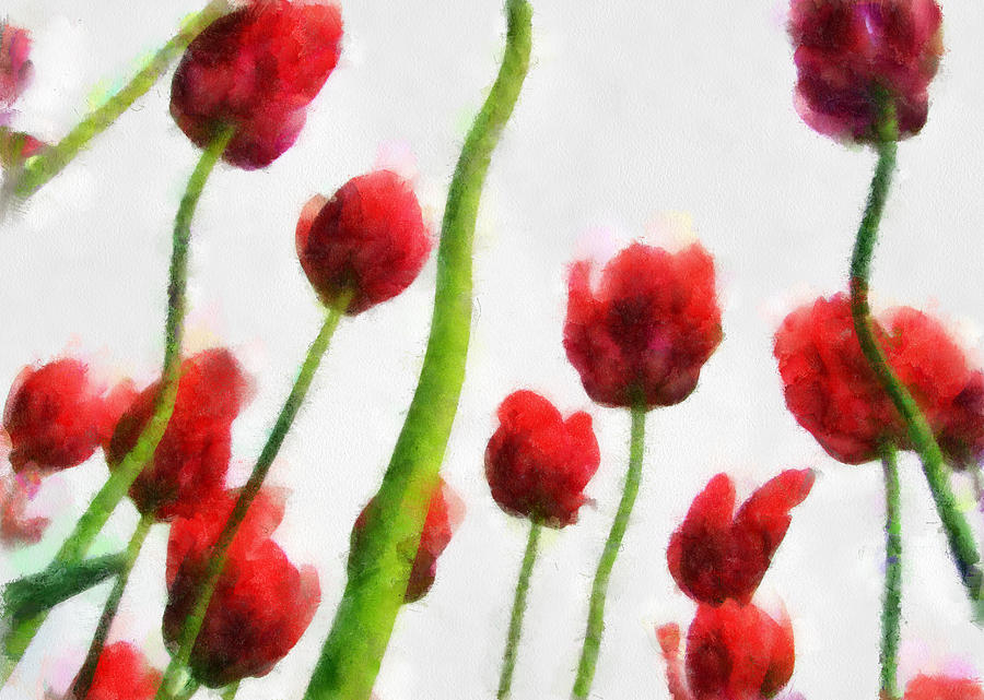 Red Tulips from the Bottom Up I Photograph by Michelle Calkins