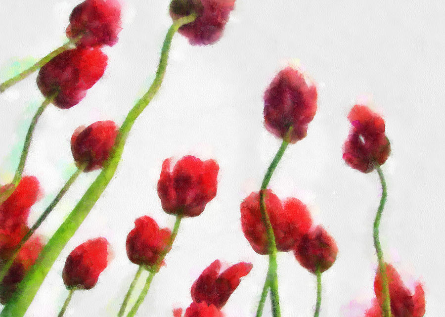 Red Tulips from the Bottom Up ll Photograph by Michelle Calkins