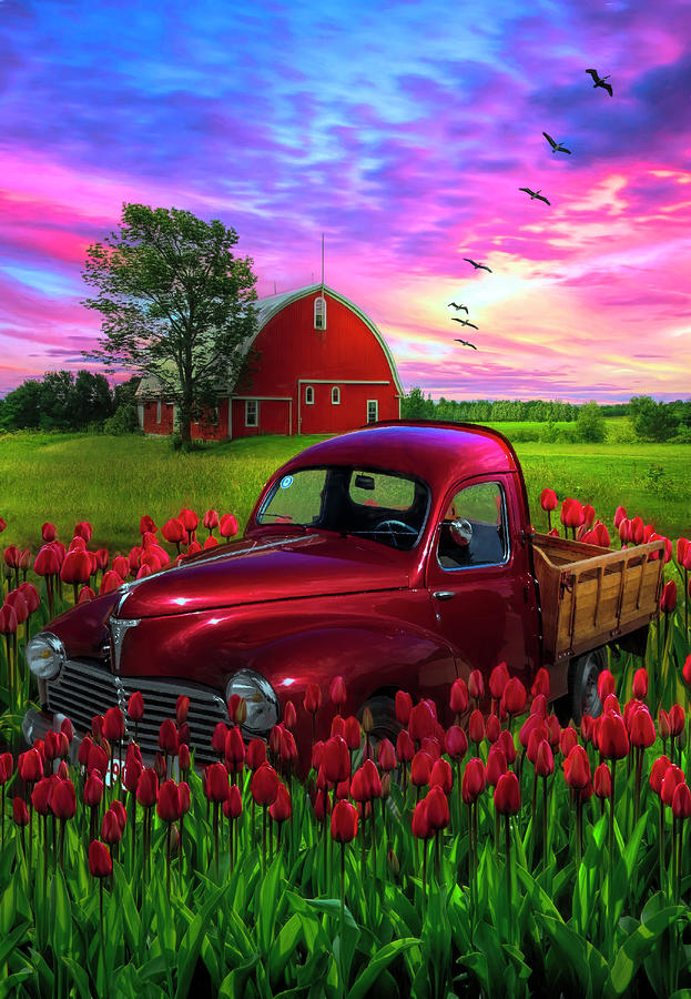 Red Tulips Red Truck Red Barn Photograph by Debra and Dave Vanderlaan