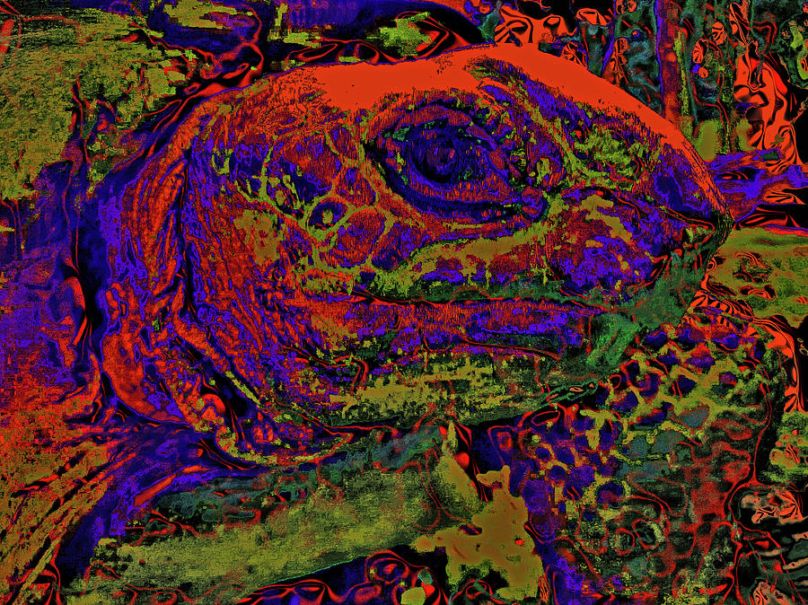 Red Turtle Digital Art