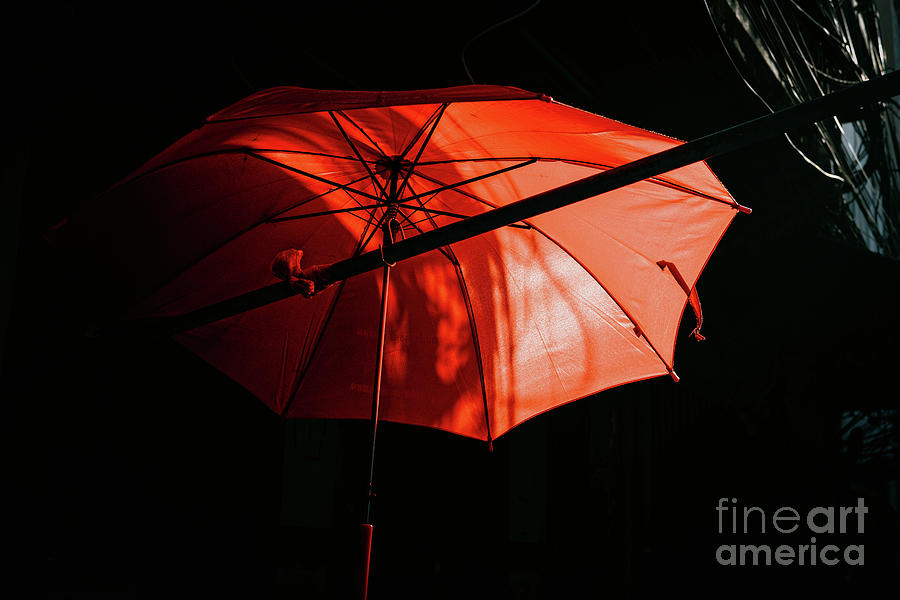 Red Umbrella Photograph by Dean Harte