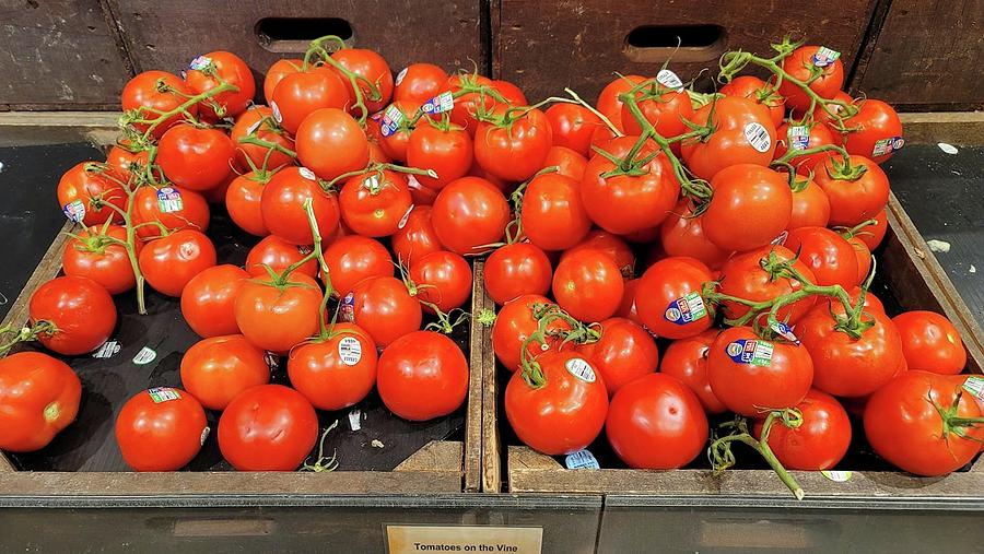 Fruit Photograph - Red Vine Tomatoes by Charlotte Gray