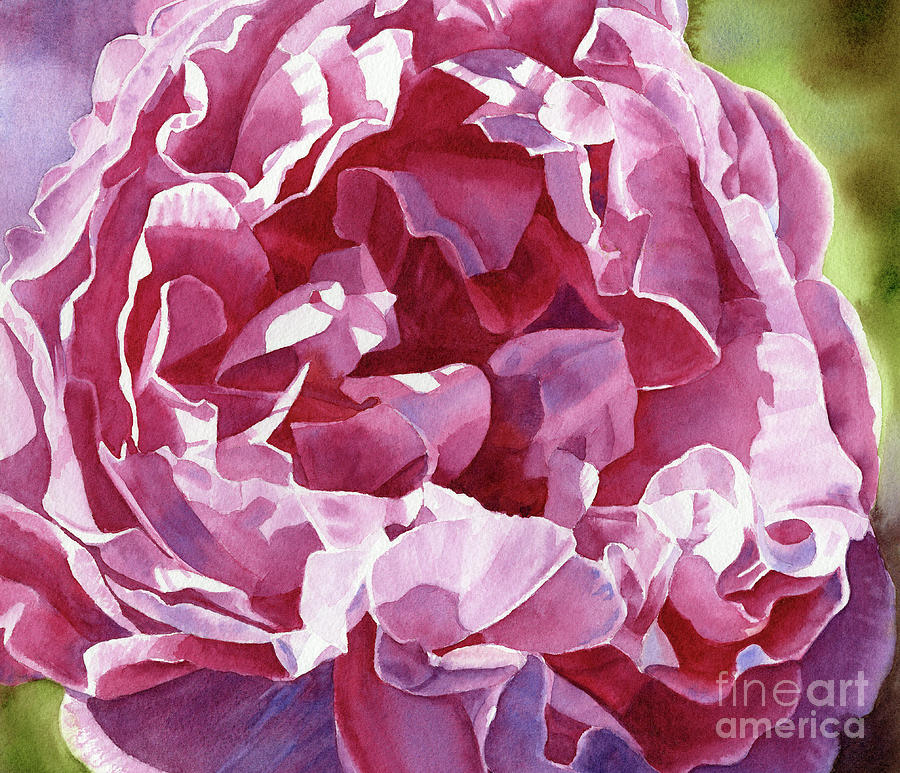Red Violet Rose Close up Painting by Sharon Freeman