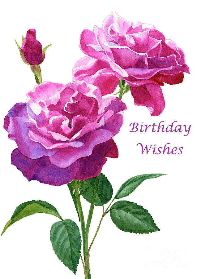 Rose Painting - Red Violet Roses on White Birthday Card 1 by Sharon Freeman