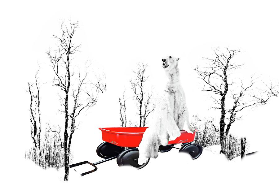Red Wagon Polar Photograph by Diana Angstadt