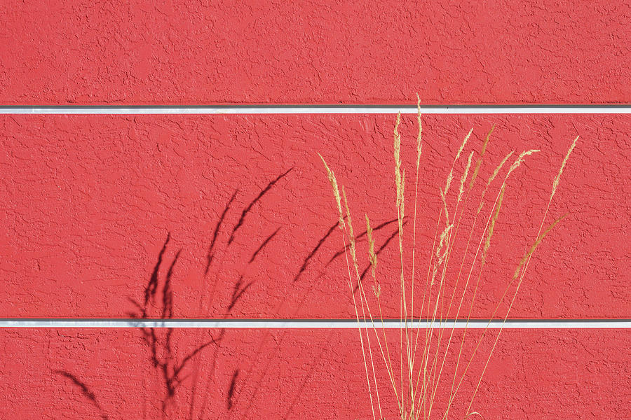 Red Wall White Lines Photograph by Stuart Allen